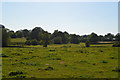 Grazing land, Beckett's Farm in TN11 8JZ