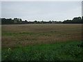 Stubble field, Gutter Bridge in CB25 0LT