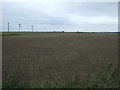 Field off Newmarket Road, Burwell in CB25 0JP