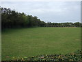 Grazing and hedgerow near Worlington in IP28 8SJ