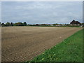Field off Newmarket Road in IP28 6AZ