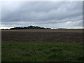 Farmland near Flempton in Flempton