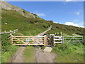 Gate and Footpath, on Brean Down in TA8 2RS