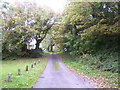Redberth - old road into village in SA70 8RY