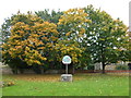 The village green in Colne, Cambridgeshire in Colne