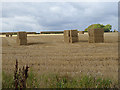 Square bales at Harelaw in TD11 3XT