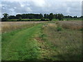 Farm track (footpath) near Newthorpe in Rushbrooke with Rougham