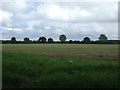 Farmland off New Road in IP30 9LN
