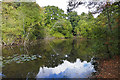 Small Pond, Yateley Country Park in GU46 6BB