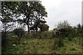 Llwybr Penlan Fawr / Penlan Fawr path in SA19 7YU
