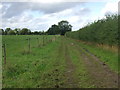 Farm track off Church Road, Tostock in IP30 9PE