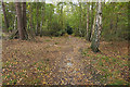 Woodland Walk, Yateley Country Park in GU46 6BB