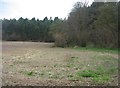 Farmland bordering Wych Hazel Copse in RG23 7EY
