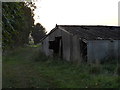 Derelict chicken shed off North Fen Road, Glinton in PE6 7JN