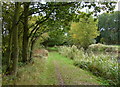 Towpath along the Coventry Canal in WS13 8GA