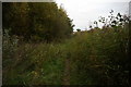 Path beside Harrison's Brook, Lunt in Sefton