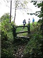 Stile and footpath at the edge of woodland in BA1 7HJ
