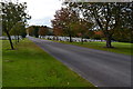 Tidworth Military Cemetery in SP9 7JT