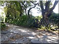 Track to Trevone in TR10 9JF