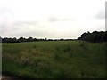 Field near Earsham Street in IP21 4LW