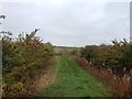 Path towards Temple Grove in Campton and Chicksands