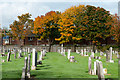 Gravestones with autumnal trees in DL16 7SD
