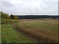 Towards Second Lodge Farm in Campton and Chicksands