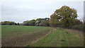 Footpath across farmland near Congerstone in CV13 6LW