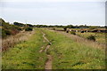 Sefton Coastal Path passing Rimmer's Marsh, Marshside in PR9 9SZ