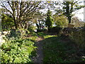 Footpath beside "The Buddle Inn" in PO38 2LY