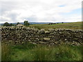Wall Stile in Dry Stone Wall near Harrop Hall in BB7 4TW