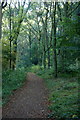 John Muir Way in Westershore Wood, near Blackness in EH49 7ND