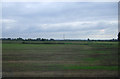 Flat farmland near The Willows in CB25 9LP