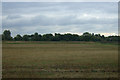 Flat farmland, Milton Fen in CB24 6DA