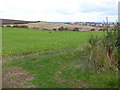 Fields near Eyemouth in TD14 5JF