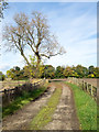 Farm road towards Merrington Mill Farm in Windlestone