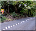 Warning sign - traffic lights ahead, Woodchester in GL5 5DY