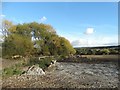 Remains of an old farm building near Emley Lodge in HD8 9PP