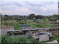 Allotments in Alvington Road in PO30 1ED