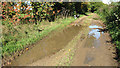 Puddles on Boylandhall Lane in NR15 2QL