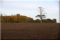 Fields at Pinfold, Scarisbrick in L40 8HR