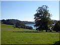 View towards Channals Creek from Trelissick House in TR3 6QJ