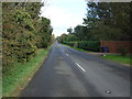 Freckenham Road (B1102)  in IP28 8SJ