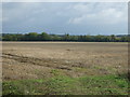Stubble field off Golf Links Road in IP28 6BS