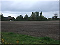 Flat farmland near Flempton in IP28 6EJ
