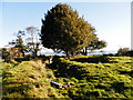 Remains of hill fort or broch on The Laws in DD5 3RF