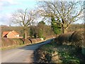 Lane to Cotcliffe Bank in DL6 3TQ