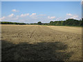 Field near Chalkstone in Haverhill East Ward
