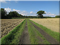 Footpath and stubble field in Haverhill East Ward