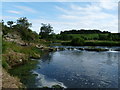 River Whiteadder at Willie's Hole in TD11 3JZ